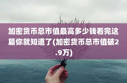 加密货币总市值最高多少钱看完这篇你就知道了(加密货币总市值破2.9万)