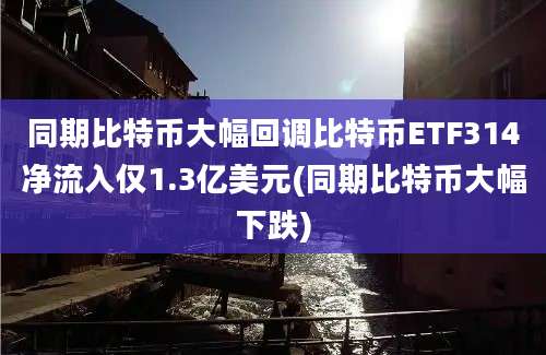 同期比特币大幅回调比特币ETF314净流入仅1.3亿美元(同期比特币大幅下跌)