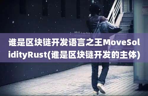 谁是区块链开发语言之王MoveSolidityRust(谁是区块链开发的主体)