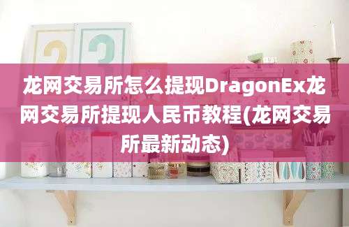 龙网交易所怎么提现DragonEx龙网交易所提现人民币教程(龙网交易所最新动态)