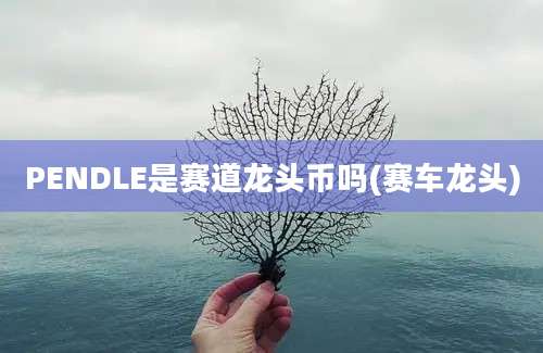 PENDLE是赛道龙头币吗(赛车龙头)