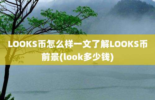 LOOKS币怎么样一文了解LOOKS币前景(look多少钱)