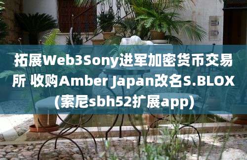 拓展Web3Sony进军加密货币交易所 收购Amber Japan改名S.BLOX(索尼sbh52扩展app)