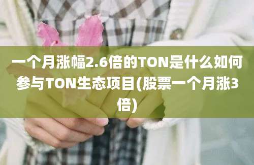 一个月涨幅2.6倍的TON是什么如何参与TON生态项目(股票一个月涨3倍)