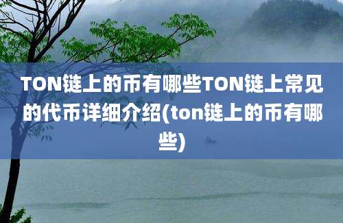 TON链上的币有哪些TON链上常见的代币详细介绍(ton链上的币有哪些)