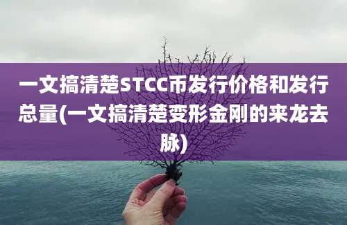 一文搞清楚STCC币发行价格和发行总量(一文搞清楚变形金刚的来龙去脉)