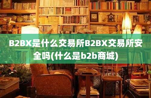 B2BX是什么交易所B2BX交易所安全吗(什么是b2b商城)