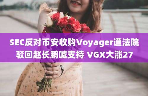 SEC反对币安收购Voyager遭法院驳回赵长鹏喊支持 VGX大涨27