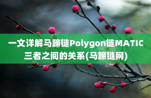 一文详解马蹄链Polygon链MATIC三者之间的关系(马蹄链网)