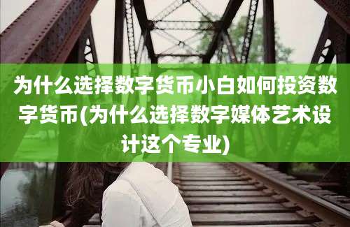 为什么选择数字货币小白如何投资数字货币(为什么选择数字媒体艺术设计这个专业)