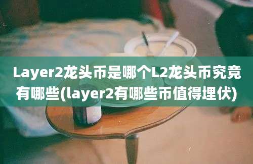 Layer2龙头币是哪个L2龙头币究竟有哪些(layer2有哪些币值得埋伏)