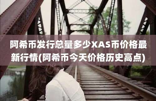 阿希币发行总量多少XAS币价格最新行情(阿希币今天价格历史高点)