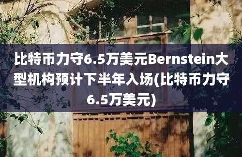 比特币力守6.5万美元Bernstein大型机构预计下半年入场(比特币力守6.5万美元)