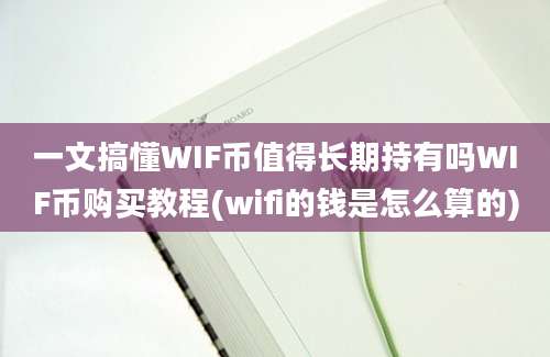 一文搞懂WIF币值得长期持有吗WIF币购买教程(wifi的钱是怎么算的)