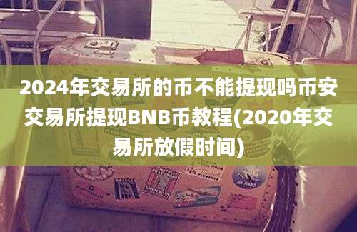 2024年交易所的币不能提现吗币安交易所提现BNB币教程(2020年交易所放假时间)