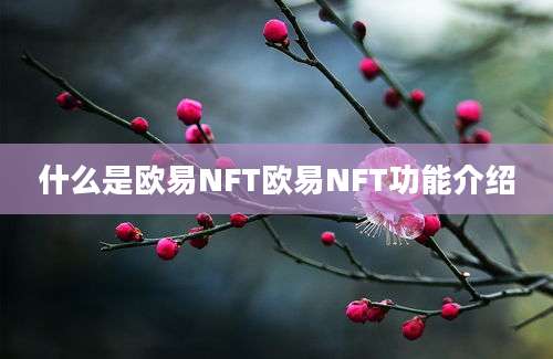 什么是欧易NFT欧易NFT功能介绍