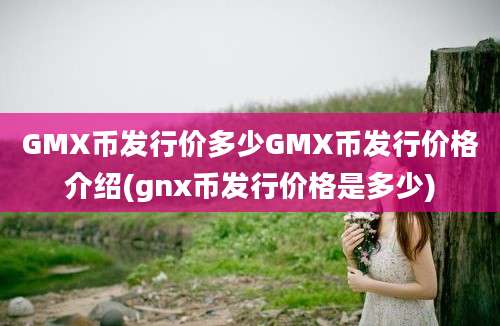 GMX币发行价多少GMX币发行价格介绍(gnx币发行价格是多少)