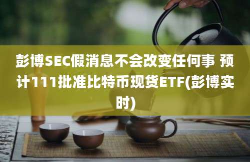 彭博SEC假消息不会改变任何事 预计111批准比特币现货ETF(彭博实时)