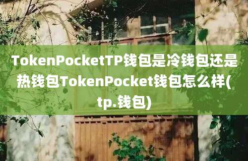 TokenPocketTP钱包是冷钱包还是热钱包TokenPocket钱包怎么样(tp.钱包)