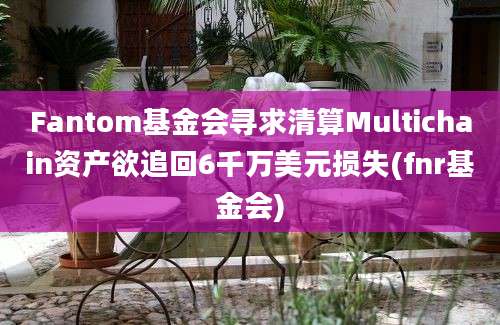 Fantom基金会寻求清算Multichain资产欲追回6千万美元损失(fnr基金会)