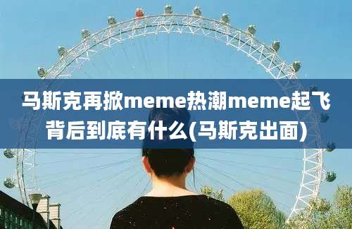 马斯克再掀meme热潮meme起飞背后到底有什么(马斯克出面)