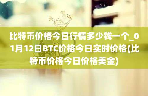 比特币价格今日行情多少钱一个_01月12日BTC价格今日实时价格(比特币价格今日价格美金)