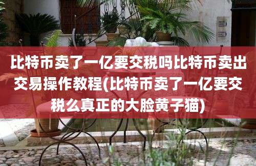 比特币卖了一亿要交税吗比特币卖出交易操作教程(比特币卖了一亿要交税么真正的大脸黄子猫)