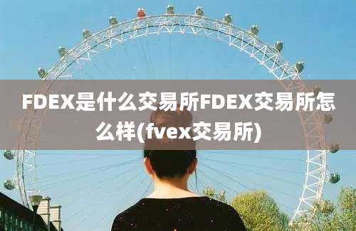 FDEX是什么交易所FDEX交易所怎么样(fvex交易所)