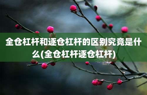 全仓杠杆和逐仓杠杆的区别究竟是什么(全仓杠杆逐仓杠杆)