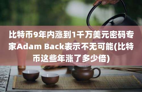 比特币9年内涨到1千万美元密码专家Adam Back表示不无可能(比特币这些年涨了多少倍)