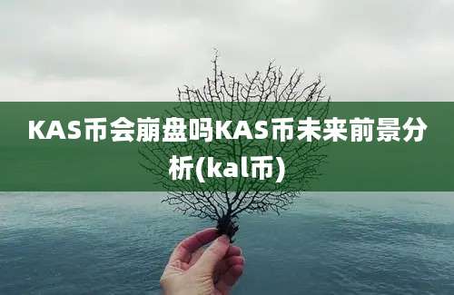 KAS币会崩盘吗KAS币未来前景分析(kal币)