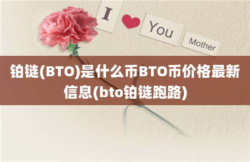 铂链(BTO)是什么币BTO币价格最新信息(bto铂链跑路)