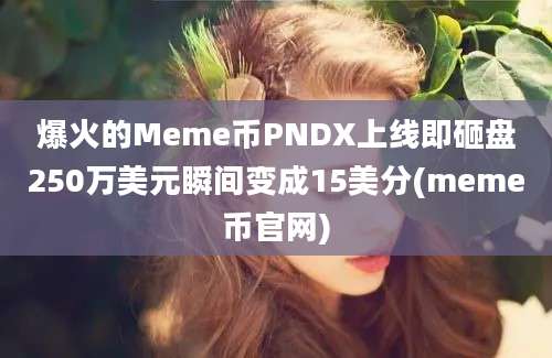 爆火的Meme币PNDX上线即砸盘250万美元瞬间变成15美分(meme币官网)