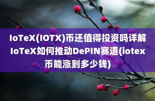 IoTeX(IOTX)币还值得投资吗详解IoTeX如何推动DePIN赛道(iotex币能涨到多少钱)