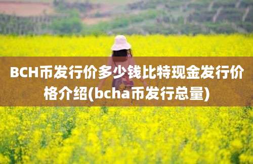 BCH币发行价多少钱比特现金发行价格介绍(bcha币发行总量)