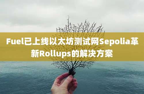 Fuel已上线以太坊测试网Sepolia革新Rollups的解决方案