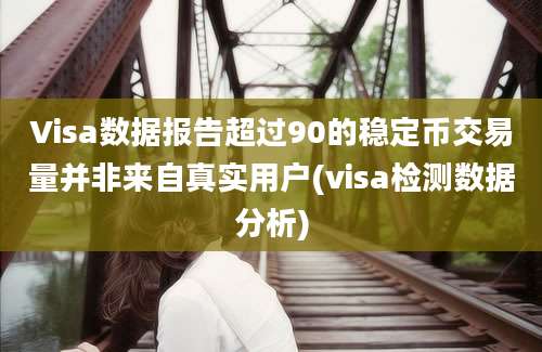 Visa数据报告超过90的稳定币交易量并非来自真实用户(visa检测数据分析)