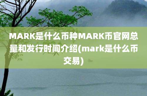 MARK是什么币种MARK币官网总量和发行时间介绍(mark是什么币交易)