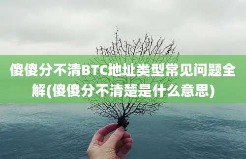 傻傻分不清BTC地址类型常见问题全解(傻傻分不清楚是什么意思)