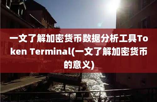 一文了解加密货币数据分析工具Token Terminal(一文了解加密货币的意义)