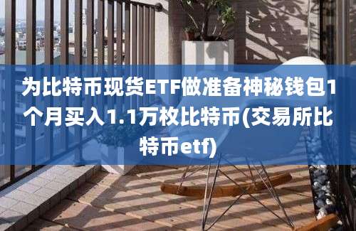 为比特币现货ETF做准备神秘钱包1个月买入1.1万枚比特币(交易所比特币etf)