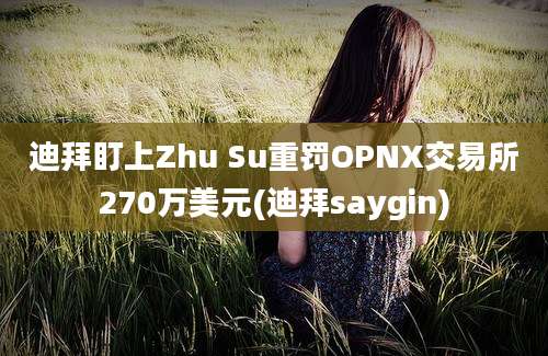 迪拜盯上Zhu Su重罚OPNX交易所270万美元(迪拜saygin)