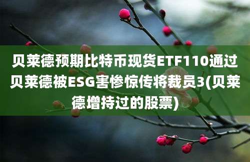 贝莱德预期比特币现货ETF110通过贝莱德被ESG害惨惊传将裁员3(贝莱德增持过的股票)