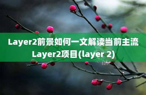 Layer2前景如何一文解读当前主流Layer2项目(layer 2)