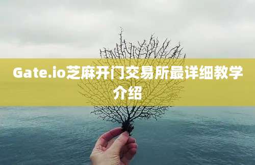 Gate.io芝麻开门交易所最详细教学介绍