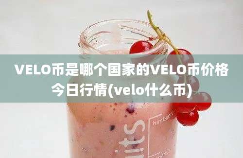 VELO币是哪个国家的VELO币价格今日行情(velo什么币)