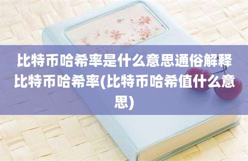 比特币哈希率是什么意思通俗解释比特币哈希率(比特币哈希值什么意思)