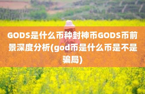 GODS是什么币种封神币GODS币前景深度分析(god币是什么币是不是骗局)