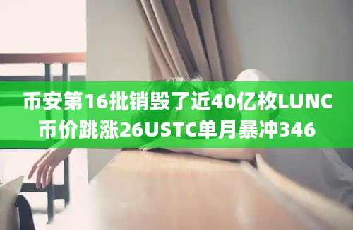 币安第16批销毁了近40亿枚LUNC币价跳涨26USTC单月暴冲346