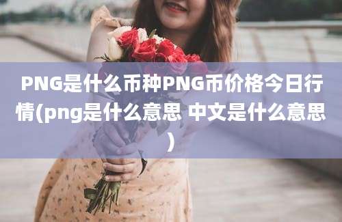 PNG是什么币种PNG币价格今日行情(png是什么意思 中文是什么意思)